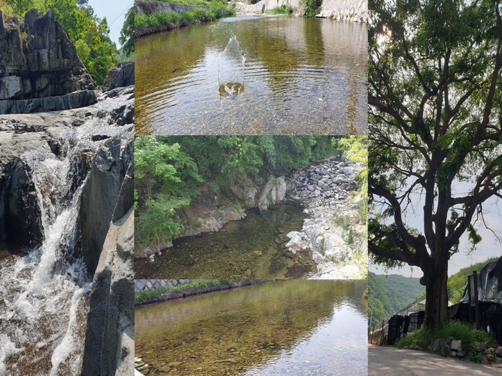 기장펜션 기장민박 용소늘푸른펜션 용소계곡 계곡